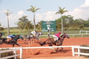 Filho de Separatist vence GP Taça de Ouro em Sorocaba