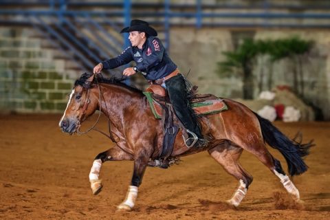 Gilson Diniz Filho quer bater o seu próprio recorde no Rédeas de Ouro
