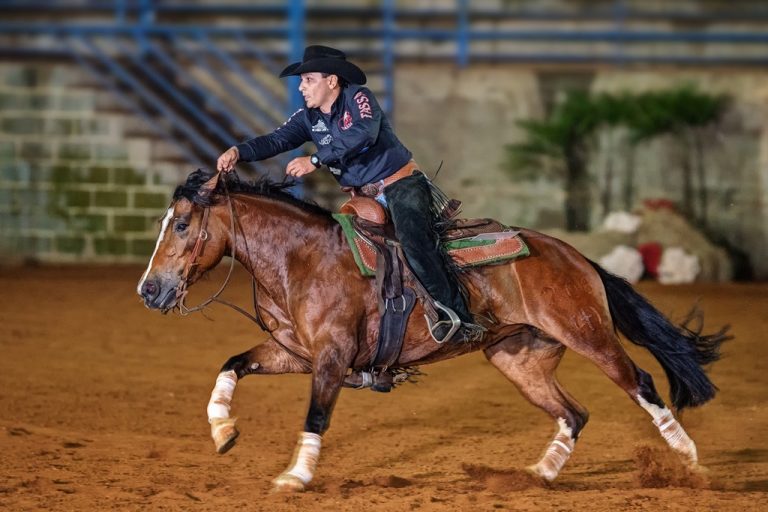 Gilson Diniz Filho quer bater o seu próprio recorde no Rédeas de Ouro