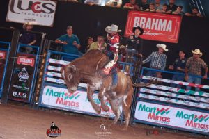 Da Tribo Terena para conquistar a fivela de campeão da PRCA no Brasil