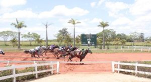 Dois recordes batidos no Jockey Club de Sorocaba!