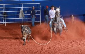 “O relacionamento com os cavalos é o que dá sentido para nossa vida!”