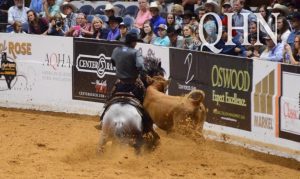 Snaffle Bit Futurity de Working Cow Horse agitou Fort Worth