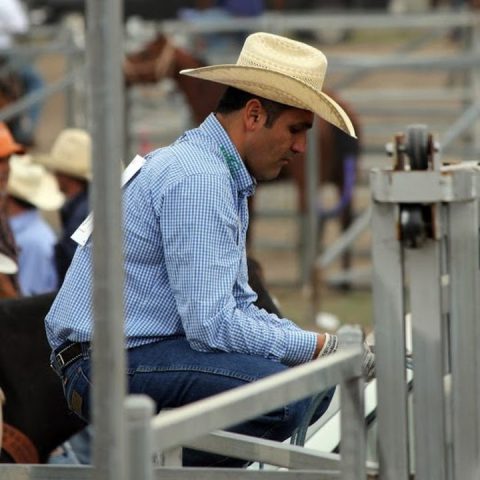 Criação do Haras Vista Verde é destaque no Challenge e Torneio Início