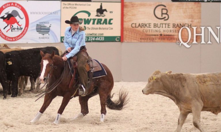 Haras ST inova e venderá somente quatro animais