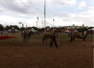 Nacional Campolina teve marcha, julgamentos e ainda provas funcionais