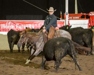 Calgary Stampede Cutting Horse Futurity em um dos templos do rodeio mundial