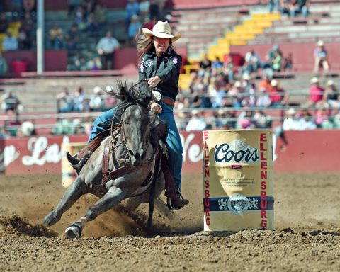 Quer conhecer um pouco mais os cavalos das cowgirls da NFR?