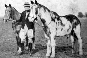 Aimé Tschiffely, o maior explorador equestre do século 20