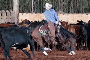 Cavalo do ano da ANCA, Smart Shorty só dá alegrias ao seu dono!