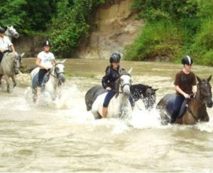 Férias é sinônimo de ficar longe dos cavalos? Nem sempre!