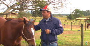 O que é horsemanship?