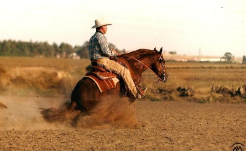 “O cavalo é o ser que mais me aproxima de Deus e das pessoas!”