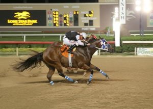 Legacy Eagle o mais rápido na classificatória do Texas Classic Futurity