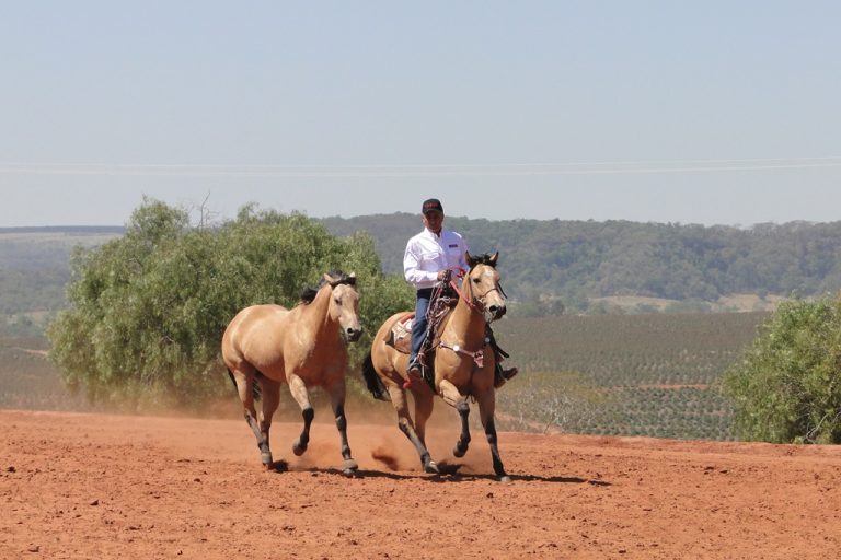 GP Avaré Futurity dá bolsa de R$ 100 mil