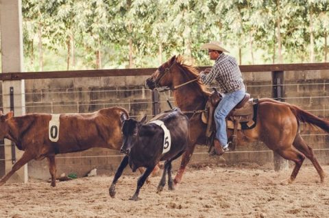 Campeões 2017 da Liga Leste Paulista de Team Penning serão premiados dia 9