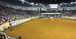 Rafael Paoliello e Marcelo Rizzi foram finalistas no Mundial da AQHA