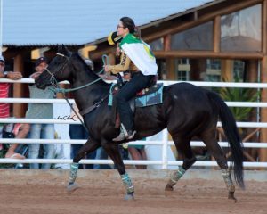 Haras Fabio José sediou prova da ASQM Barrel Race em Lagarto