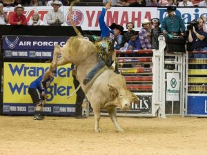 Você sabe quem são os campeões mundiais PBR de todos os tempos?