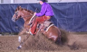 Colorado Reined Cowhorse Association Futurity já tem seus campeões