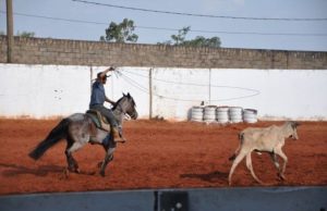 Copa Acrissul de Laço Comprido movimentou o Parque de Exposições