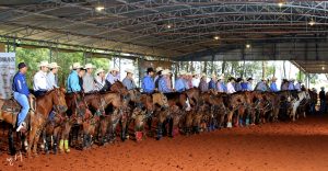 Prorelax Calf Roping teve competidor americano e recorde de público