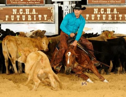 NCHA Futurity segue com disputas da Non Pro e Aberta Limitada
