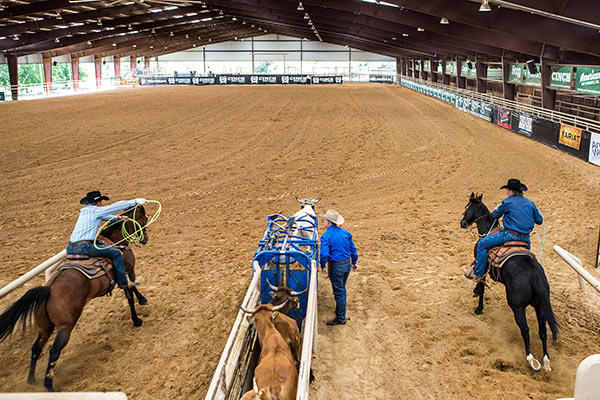 NRS Ranch atrai toda semana laçadores para um treinão pago top - Cavalus