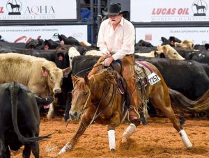 Primeiros campeões do AQHA World Show já saíram                    