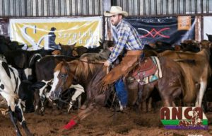 Da primeira prova, há 18 anos, a paixão por cavalos só aumentou!