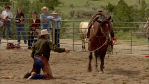 Buck, o Encantador de Cavalos