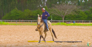 Como ladear com o cavalo?