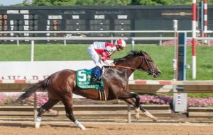 A craque Songbird foi vendida esse mês por US$9,5 milhões