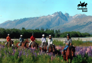 Cavalgada Back Country – Nova Zelândia