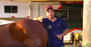 Como marcar meu cavalo?