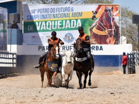 Debate sobre a constitucionalidade da emenda da Vaquejada