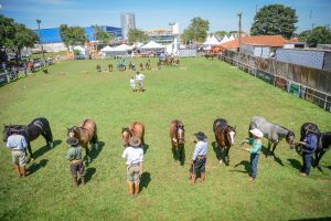 Provas que levam à Morfologia da Expointer 2018 já tem datas