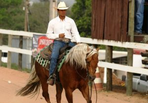 Quando a paixão por cavalos levou Henrique a batalhar por um sonho