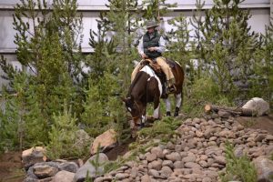 National Mountain Trail Championships