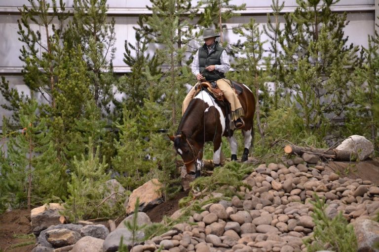 National Mountain Trail Championships
