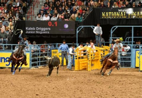 Brasileiro iguala recorde Mundial de Team Roping durante NFR