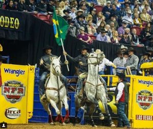 Após cinco rounds, veja como estão os brasileiros na NFR!