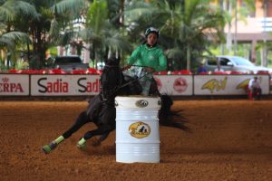 Haras São Francisco encerra Campeonato Paraense de Três Tambores