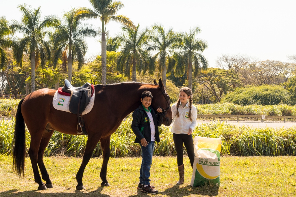 Dedicação na elaboração de produtos destinados a alimentação animal!