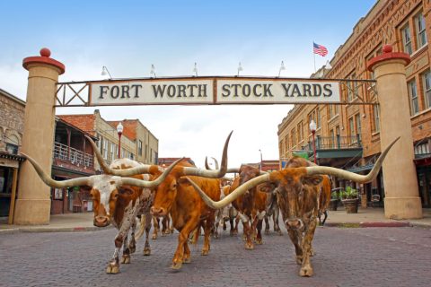 Stockyards, mais de 150 anos de tradição no Texas