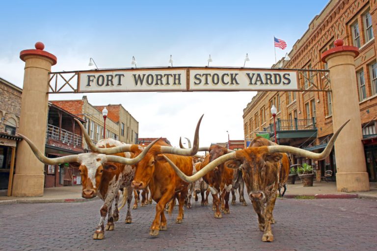 Stockyards, mais de 150 anos de tradição no Texas