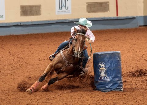 O cavalo honesto