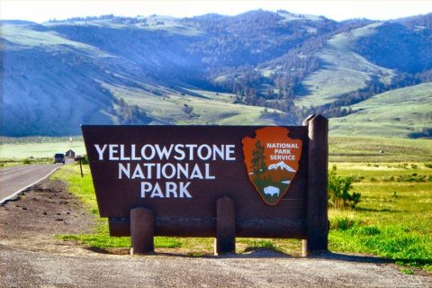 Passeios a cavalo no Yellowstone Park são sonho do mundo western