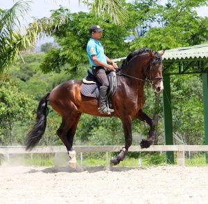 Atendimento eficaz e qualidade dos produtos são pilares da Rações Fazendeiro