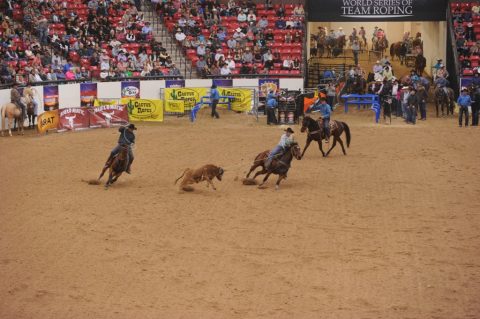 Mais de 11 milhões de dólares de premiação no World Series Team Roping